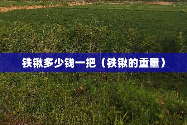 铁锹多少钱一把（铁锹的重量）