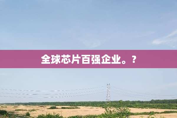 全球芯片百强企业。？