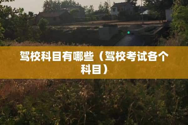 驾校科目有哪些（驾校考试各个科目）