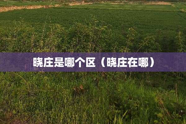 晓庄是哪个区（晓庄在哪）