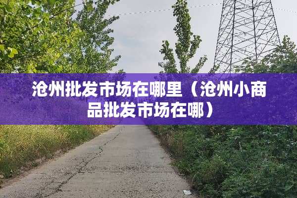 沧州批发市场在哪里（沧州小商品批发市场在哪）