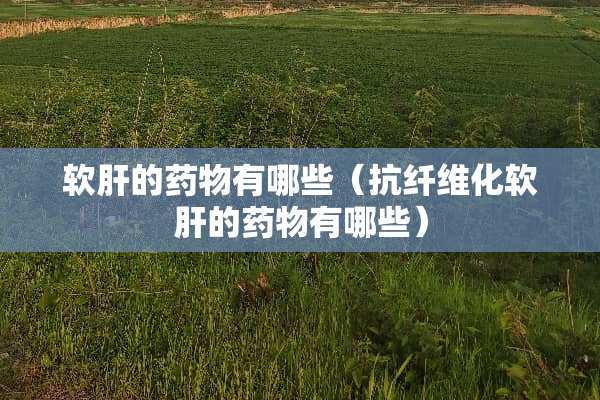 软肝的药物有哪些（抗纤维化软肝的药物有哪些）