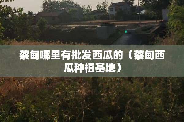 蔡甸哪里有批发西瓜的（蔡甸西瓜种植基地）