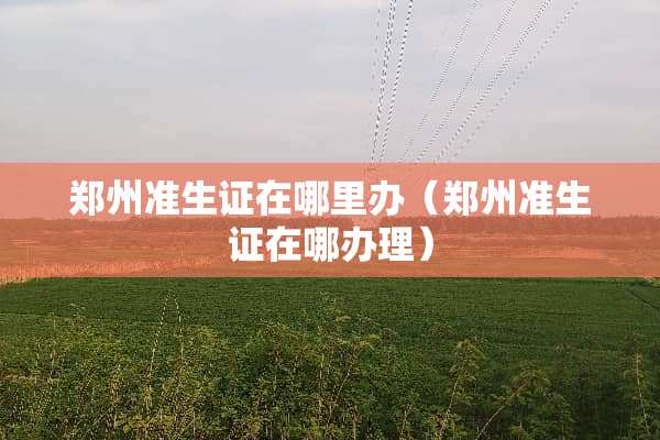 郑州准生证在哪里办（郑州准生证在哪办理）