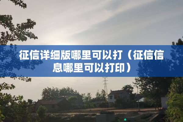 征信详细版哪里可以打（征信信息哪里可以打印）