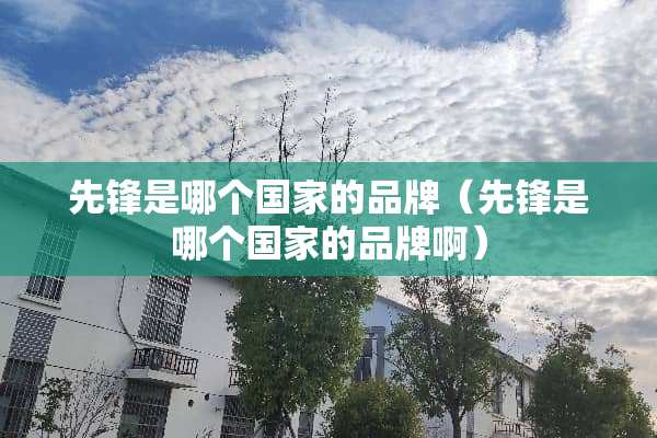 先锋是哪个国家的品牌（先锋是哪个国家的品牌啊）