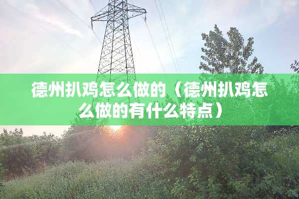 德州扒鸡怎么做的（德州扒鸡怎么做的有什么特点）