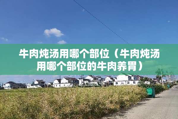 牛肉炖汤用哪个部位（牛肉炖汤用哪个部位的牛肉养胃）