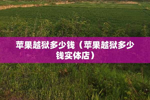 苹果越狱多少钱（苹果越狱多少钱实体店）