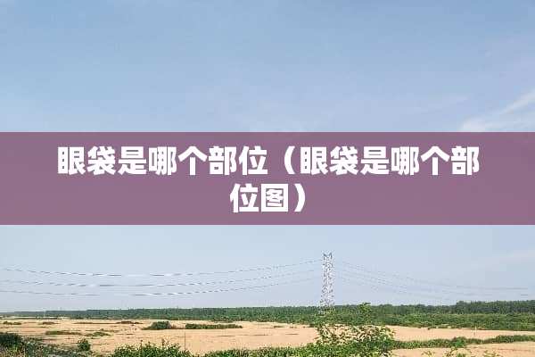 眼袋是哪个部位（眼袋是哪个部位图）