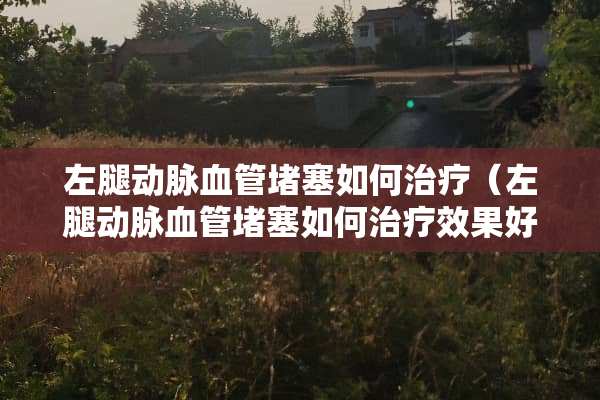 左腿动脉血管堵塞如何治疗（左腿动脉血管堵塞如何治疗效果好）