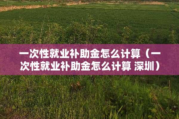 一次性就业补助金怎么计算（一次性就业补助金怎么计算 深圳）