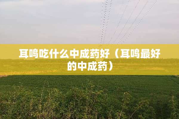 耳鸣吃什么中成药好（耳鸣最好的中成药）