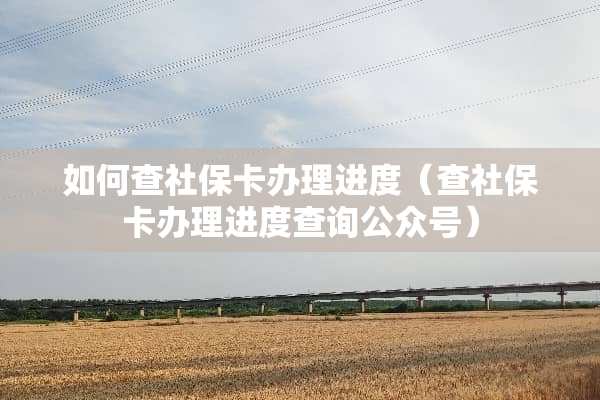 如何查社保卡办理进度（查社保卡办理进度查询公众号）