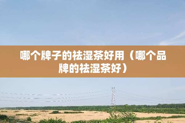 哪个牌子的祛湿茶好用（哪个品牌的祛湿茶好）