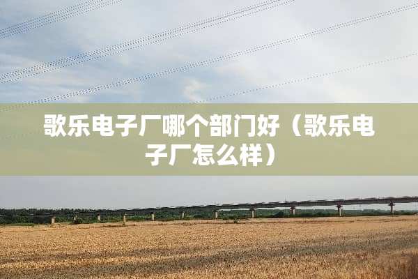 歌乐电子厂哪个部门好（歌乐电子厂怎么样）