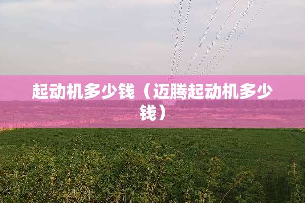 起动机多少钱（迈腾起动机多少钱）