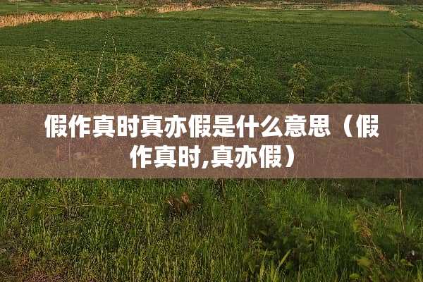 假作真时真亦假是什么意思（假作真时,真亦假）