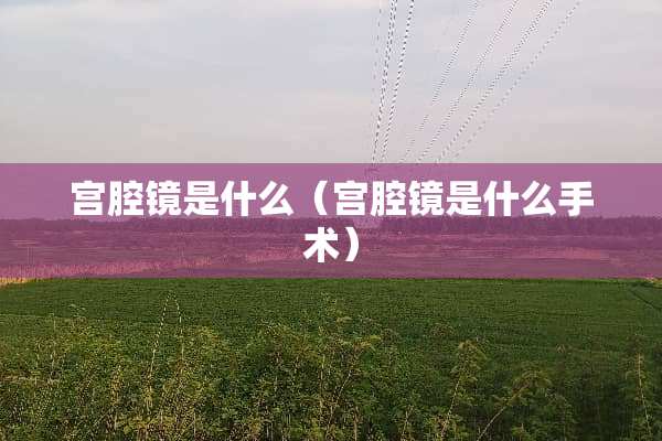 宫腔镜是什么（宫腔镜是什么手术）