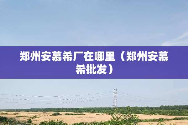 郑州安慕希厂在哪里（郑州安慕希批发）