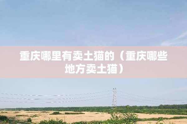 重庆哪里有卖土猫的（重庆哪些地方卖土猫）