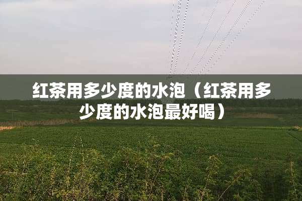 红茶用多少度的水泡（红茶用多少度的水泡最好喝）