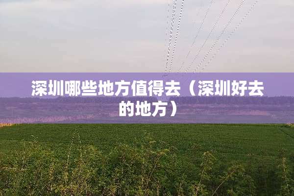 深圳哪些地方值得去（深圳好去的地方）