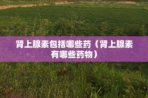肾上腺素包括哪些药（肾上腺素有哪些药物）