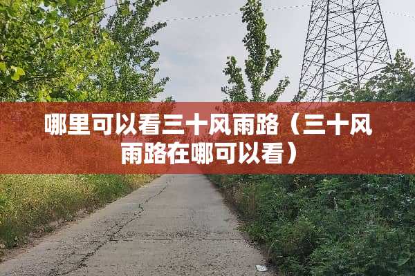 哪里可以看三十风雨路（三十风雨路在哪可以看）