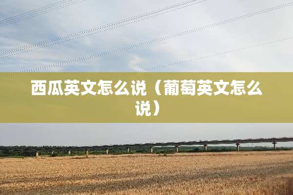 西瓜英文怎么说（葡萄英文怎么说）