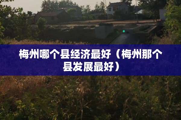 梅州哪个县经济最好（梅州那个县发展最好）