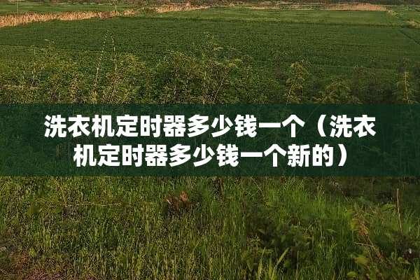 洗衣机定时器多少钱一个（洗衣机定时器多少钱一个新的）