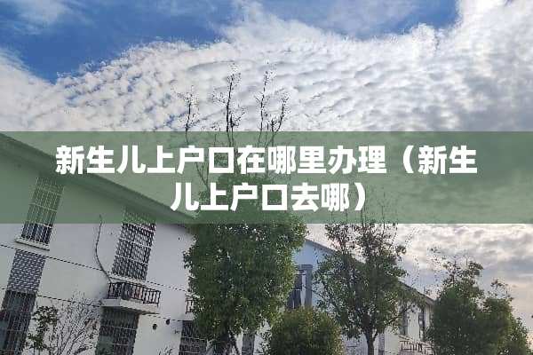 新生儿上户口在哪里办理（新生儿上户口去哪）