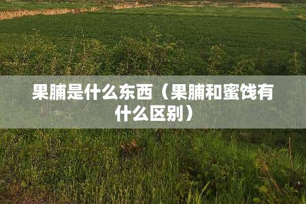 果脯是什么东西（果脯和蜜饯有什么区别）