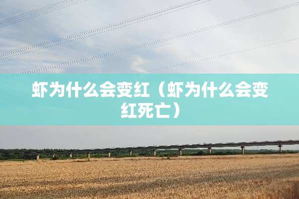 虾为什么会变红（虾为什么会变红死亡）
