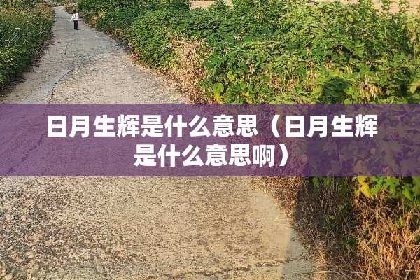 日月生辉是什么意思（日月生辉是什么意思啊）