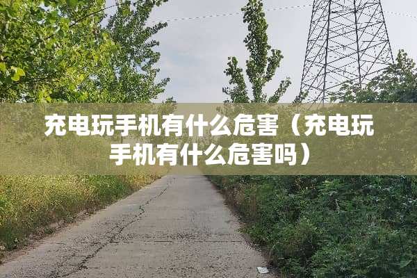 充电玩手机有什么危害（充电玩手机有什么危害吗）