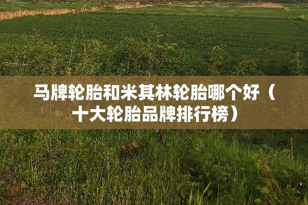 马牌轮胎和米其林轮胎哪个好（十大轮胎品牌排行榜）