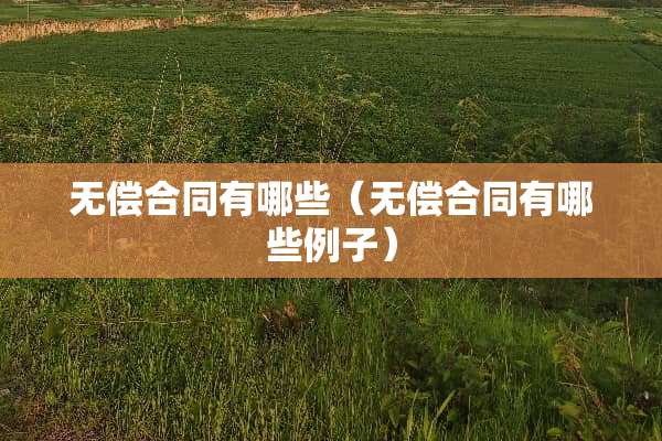 无偿合同有哪些（无偿合同有哪些例子）