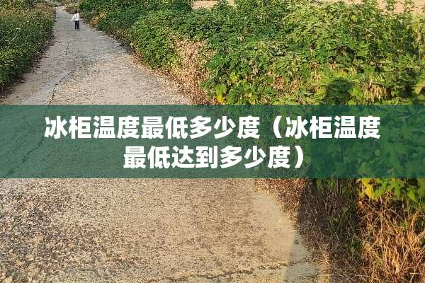 冰柜温度最低多少度（冰柜温度最低达到多少度）