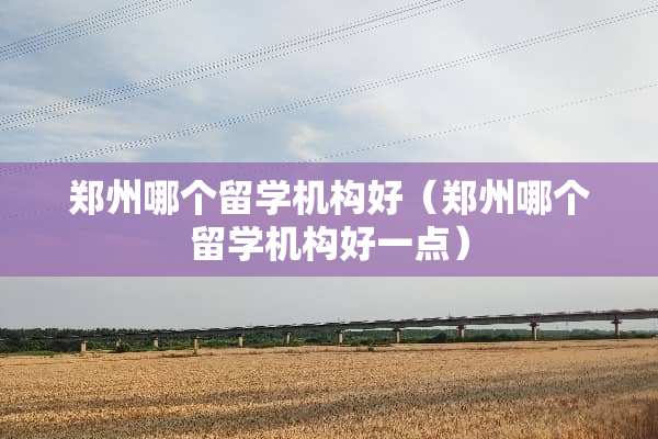 郑州哪个留学机构好（郑州哪个留学机构好一点）