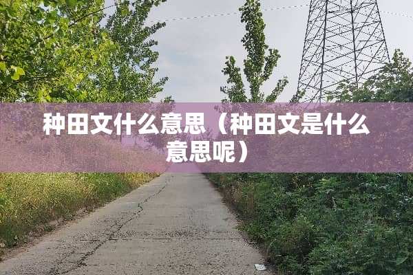 种田文什么意思（种田文是什么意思呢）