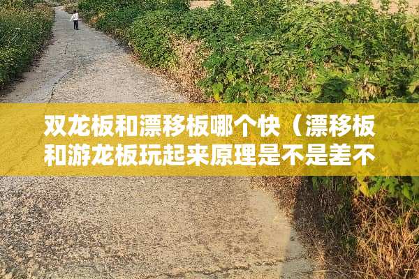 双龙板和漂移板哪个快（漂移板和游龙板玩起来原理是不是差不多的）
