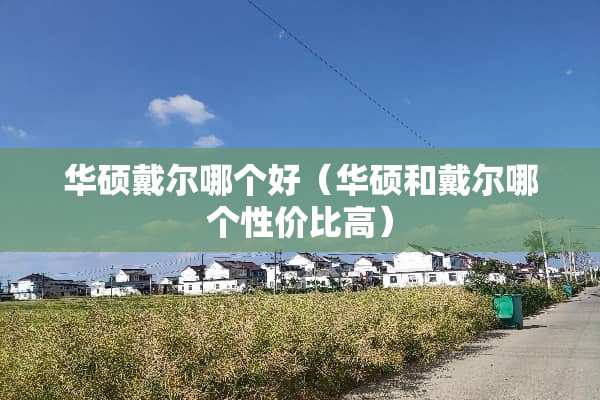 华硕戴尔哪个好（华硕和戴尔哪个性价比高）