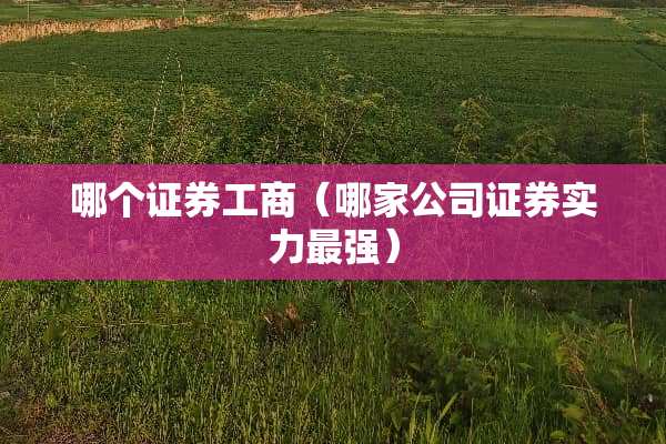 哪个证券工商（哪家公司证券实力最强）