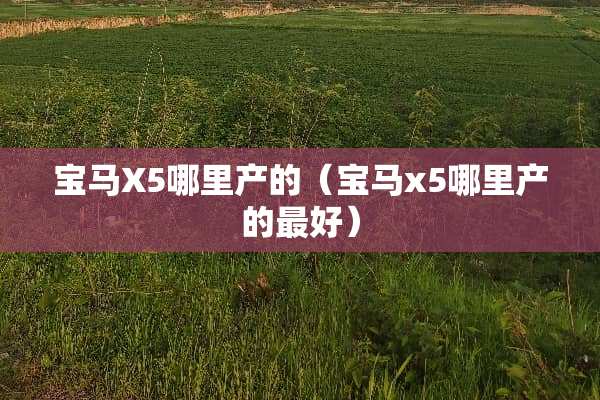 宝马X5哪里产的（宝马x5哪里产的最好）