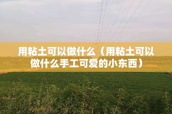 用粘土可以做什么（用粘土可以做什么手工可爱的小东西）
