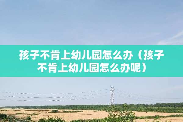 孩子不肯上幼儿园怎么办（孩子不肯上幼儿园怎么办呢）