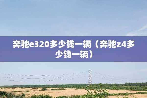 奔驰e320多少钱一辆（奔驰z4多少钱一辆）