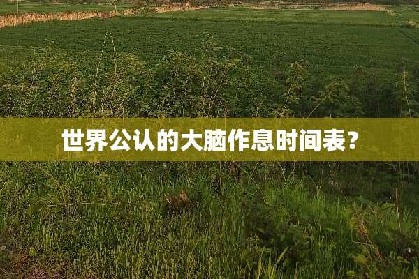 世界公认的大脑作息时间表？